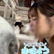 ヒメ日記 2026/06/10 13:12 投稿 さくら 石川小松ちゃんこ