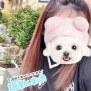 ヒメ日記 2026/06/19 01:02 投稿 さくら 石川小松ちゃんこ