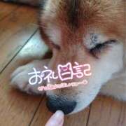 ヒメ日記 2026/06/20 11:22 投稿 さくら 石川小松ちゃんこ