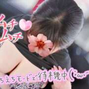 ヒメ日記 2026/06/20 15:02 投稿 さくら 石川小松ちゃんこ