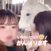 ヒメ日記 2026/06/24 11:02 投稿 さくら 石川小松ちゃんこ