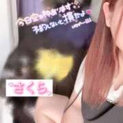 ヒメ日記 2026/07/14 10:42 投稿 さくら 石川小松ちゃんこ