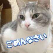 ヒメ日記 2026/01/31 05:22 投稿 らき 香川サンキュー