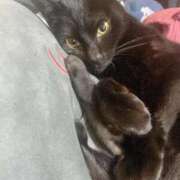 ヒメ日記 2026/02/10 14:56 投稿 らき 香川サンキュー