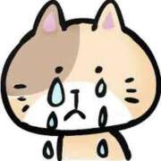 ヒメ日記 2026/02/19 15:42 投稿 らき 香川サンキュー