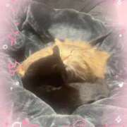 ヒメ日記 2026/03/25 17:02 投稿 らき 香川サンキュー