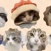 ヒメ日記 2026/03/30 18:23 投稿 らき 香川サンキュー