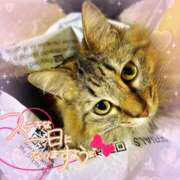 ヒメ日記 2026/04/20 07:52 投稿 らき 香川サンキュー