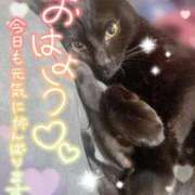 ヒメ日記 2026/04/21 07:12 投稿 らき 香川サンキュー