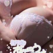 ヒメ日記 2026/06/05 15:22 投稿 らき 香川サンキュー