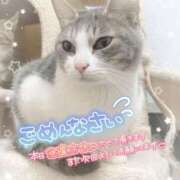 ヒメ日記 2026/08/14 15:42 投稿 らき 香川サンキュー