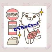 ヒメ日記 2026/06/23 11:34 投稿 ヨウナ オトナのマル秘最前線!!
