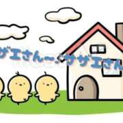 ヒメ日記 2026/06/23 16:17 投稿 ヨウナ オトナのマル秘最前線!!