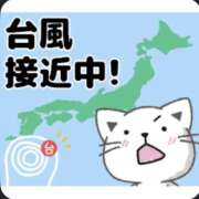 ヒメ日記 2026/06/25 20:09 投稿 ヨウナ オトナのマル秘最前線!!