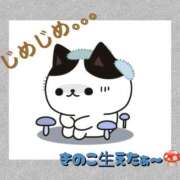 ヒメ日記 2026/07/03 22:18 投稿 ヨウナ オトナのマル秘最前線!!
