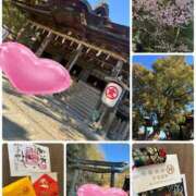 ヒメ日記 2026/03/11 11:30 投稿 みこ☆魅惑のボディ ジャックと豆の木