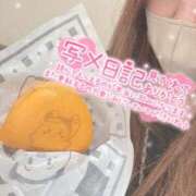 ヒメ日記 2026/10/20 11:22 投稿 みこ☆魅惑のボディ ジャックと豆の木