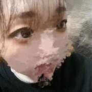 ヒメ日記 2026/01/26 02:00 投稿 いと 石庭