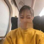 ヒメ日記 2026/02/08 15:20 投稿 いと 石庭