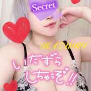 ヒメ日記 2026/03/24 09:50 投稿 はづき 沼津人妻花壇