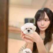 ヒメ日記 2026/02/11 13:01 投稿 ひめの CECIL