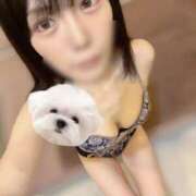 ひめの 👸🏻お寿司ブーム CECIL