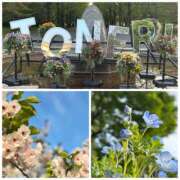 ヒメ日記 2026/04/13 16:58 投稿 春風ちづる ワイフコレクション