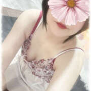 ヒメ日記 2026/04/16 07:00 投稿 春風ちづる ワイフコレクション