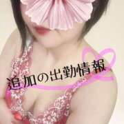 ヒメ日記 2026/04/17 22:12 投稿 春風ちづる ワイフコレクション