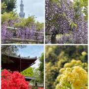 ヒメ日記 2026/04/18 09:39 投稿 春風ちづる ワイフコレクション