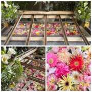 ヒメ日記 2026/04/25 07:43 投稿 春風ちづる ワイフコレクション