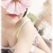 ヒメ日記 2026/04/30 07:00 投稿 春風ちづる ワイフコレクション