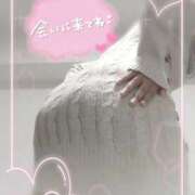 ヒメ日記 2026/04/19 16:13 投稿 まほ 密着指導！バカンス学園 尼崎校