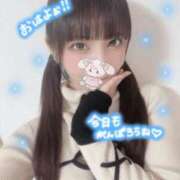 ヒメ日記 2026/03/17 06:00 投稿 ねね ロイヤルフラッシュ