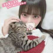 ヒメ日記 2026/04/16 19:47 投稿 ねね ロイヤルフラッシュ