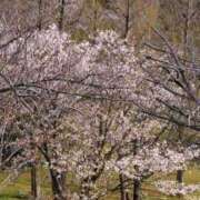 ヒメ日記 2026/03/30 15:23 投稿 愛と笑いが溢れますように。 グッドスマイル