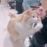 ヒメ日記 2026/01/18 18:17 投稿 ほむら 秋葉原コスプレ学園in西川口