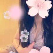 ヒメ日記 2026/03/14 08:43 投稿 あおい 花夫人