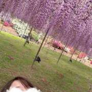 ヒメ日記 2026/04/25 20:33 投稿 あおい 花夫人