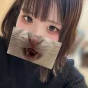 ヒメ日記 2026/02/14 10:41 投稿 きょうこ スピードエコ京橋店