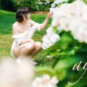 ヒメ日記 2026/01/29 12:48 投稿 あゆ 福岡ちゃんこ大牟田店