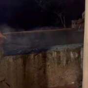 ヒメ日記 2026/01/29 19:28 投稿 あゆ 福岡ちゃんこ大牟田店