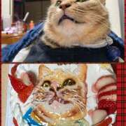 ヒメ日記 2026/02/06 13:08 投稿 あゆ 福岡ちゃんこ大牟田店