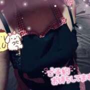 ヒメ日記 2026/01/24 09:11 投稿 コハル ドMな奥様 名古屋・錦店