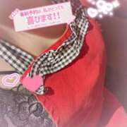 ヒメ日記 2026/02/17 19:07 投稿 コハル ドMな奥様 名古屋・錦店