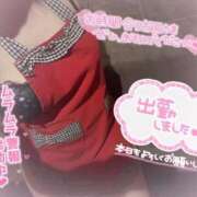 ヒメ日記 2026/04/03 14:57 投稿 コハル ドMな奥様 名古屋・錦店