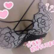 コハル 🌸あした！🌸 ドMな奥様 名古屋・錦店