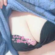 ヒメ日記 2026/02/12 12:47 投稿 チトセ ドMな奥様 名古屋・錦店