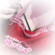 ヒメ日記 2026/03/17 11:17 投稿 チトセ ドMな奥様 名古屋・錦店