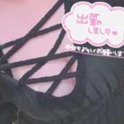 ヒメ日記 2026/04/14 09:57 投稿 チトセ ドMな奥様 名古屋・錦店